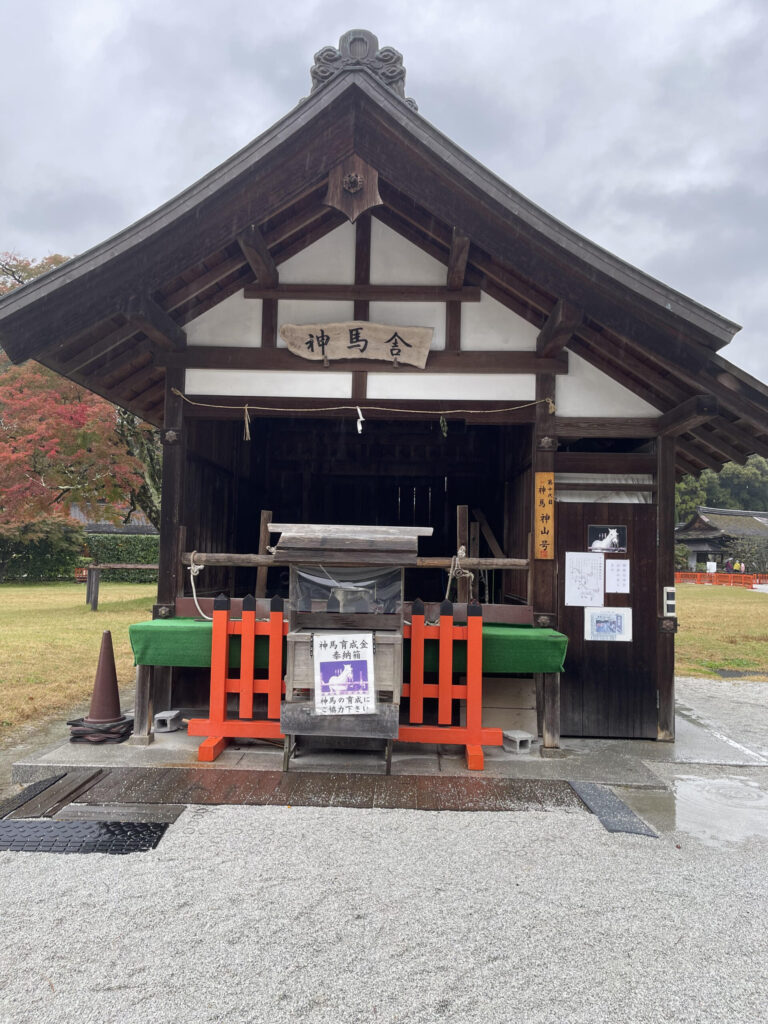 divine horse Stable